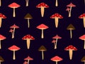 Seamless pattern with mushrooms on black background. Various mushrooms, edible and toadstools. Hallucinogenic fly agaric. Design Royalty Free Stock Photo