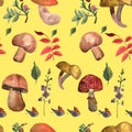 Seamless pattern with forest mushroom