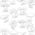 Seamless pattern mushrooms russula, chanterelle, champignon, gr