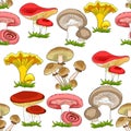 Seamless pattern mushrooms russula, chanterelle, champignon, gr