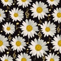 Seamless pattern with music notes and daisies