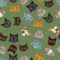 Seamless pattern with muzzles of cats