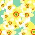 Seamless pattern with narcissus flower meadow. Royalty Free Stock Photo