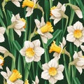 Seamless pattern with narcissus flowers. Spring fabric design. Floral print for Easter with daffodils. Suitable for Royalty Free Stock Photo