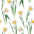 Seamless pattern with narcissus flowers. Spring fabric design. Floral print for Easter with daffodils. Suitable for Royalty Free Stock Photo