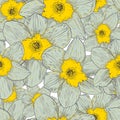 Seamless pattern with narcissus. Vector illustration.