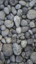 Seamless pattern of natural grey river pebbles for background texture. Royalty Free Stock Photo