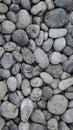 Seamless pattern of natural grey river pebbles for background texture Royalty Free Stock Photo