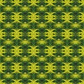 seamless pattern natural photo flower Mimosa. yellow-green colo