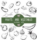 Vector set of hand drawn vintage fresh fruits and vegetables