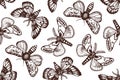 Seamless pattern with night butterflies in retro style. Biological background with insects. Hand drawn.