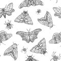 Seamless pattern of night butterflies and spiders. Hand drawn illustration Royalty Free Stock Photo