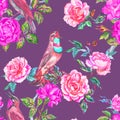 Seamless pattern of nightingales and roses on a purple background Royalty Free Stock Photo