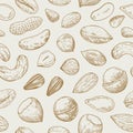 Seamless pattern with nuts and seeds. Sketch drawing in engraving style. Vector illustration Royalty Free Stock Photo