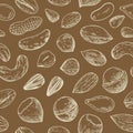 Seamless pattern with nuts and seeds. Sketch drawing in engraving style. Vector illustration Royalty Free Stock Photo