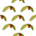 Seamless pattern of oak leaves and acorns. Vector of a seamless pattern of an oak branch with an acorn. Hand drawn oak leaves with Royalty Free Stock Photo