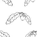 Seamless pattern of oak leaves and acorns. Vector of a seamless pattern of an oak branch with an acorn. Hand drawn oak leaves with Royalty Free Stock Photo