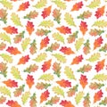 Seamless pattern of oak leaves