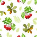 Seamless pattern with oak and rowan branches, leaves and berries. Vector illustration.