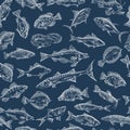 Seamless pattern with ocean fish sketches