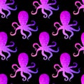 Seamless pattern with octopus .