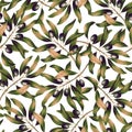 Seamless pattern with olive tree branch and leaves. Vivid print with beautiful botanical illustration. Repeated