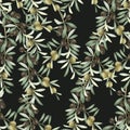 Seamless pattern of olive tree branches with green and black ripe olives Royalty Free Stock Photo