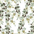 Seamless pattern of olive tree branches with green and black ripe olives Royalty Free Stock Photo