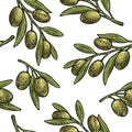 Seamless pattern Olives on branch with leaves. Royalty Free Stock Photo