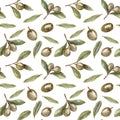 Seamless pattern of olives and olive branches. Hand drawn graphic style illustrations isolated on white background Royalty Free Stock Photo
