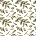 Seamless pattern of olives and olive branches. Hand drawn graphic style illustrations isolated on white background Royalty Free Stock Photo