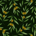 Seamless pattern with olives. Vector branches, leaves and olives on black background. Royalty Free Stock Photo