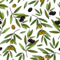 Seamless pattern with olives. Vector branches, leaves, black and green olives. Royalty Free Stock Photo