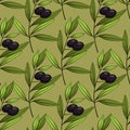 Seamless pattern with olives. Vector branches, leaves and black olives on green background. Royalty Free Stock Photo