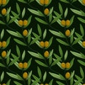 Seamless pattern with olives. Vector diagonal branches, leaves and olives on black background. Royalty Free Stock Photo