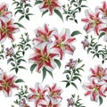 Seamless pattern from Olympic lilies. White background.