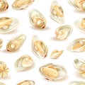 Seamless pattern of open clam shells with pearls, randomly scattered on a white background. Royalty Free Stock Photo