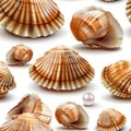 Seamless Pattern, Open Clamshells With Pearls On White Background, Photorealistic Illustration Royalty Free Stock Photo