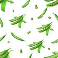 Seamless pattern from open pod of green peas with peas. Vector illustration isolated on white background. Royalty Free Stock Photo