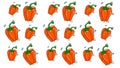 Seamless pattern of orange bell pepper vector illustrations on a white background. Royalty Free Stock Photo