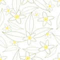 Seamless pattern of orange blossom flowers outlines Royalty Free Stock Photo