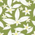 Seamless pattern of orange blossom flowers Royalty Free Stock Photo