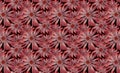 Seamless pattern with orange and burgundy florals. Ditsy decorative sunflower daisy floral design and foliage for fall,