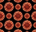 Seamless pattern of orange flowers with dark centers on a black background repeating endlessly Royalty Free Stock Photo
