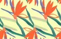 Seamless pattern with orange flowers Strelitzia royal on a yellow background