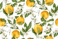 Seamless pattern with orange fruit tree branches, fruits and flo Royalty Free Stock Photo