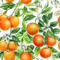 Seamless pattern orange fruits. Botanical painting watercolor citrus fruit. Mandarin branches with green leaves, flowers