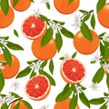 Seamless pattern orange fruits with flowers and leaves on white background. Grapefruit vector