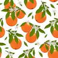 Seamless pattern orange fruits with flowers and leaves on white background. Grapefruit vector