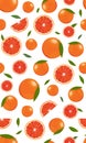 Seamless pattern orange fruits and slice with leaves on white background. Grapefruit vector